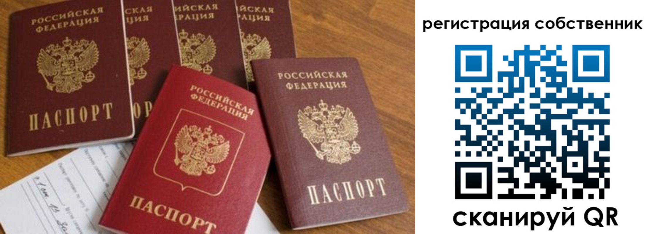 прописка 2025 в Тосно